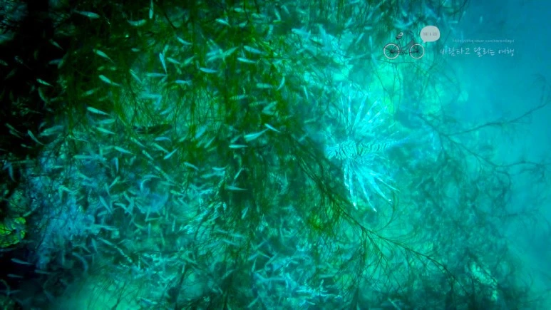 IMG_01_Wide1080mark%EB%B0%94%EB%9E%8C%ED%83%80%EA%B3%A0.jpg?type=w773