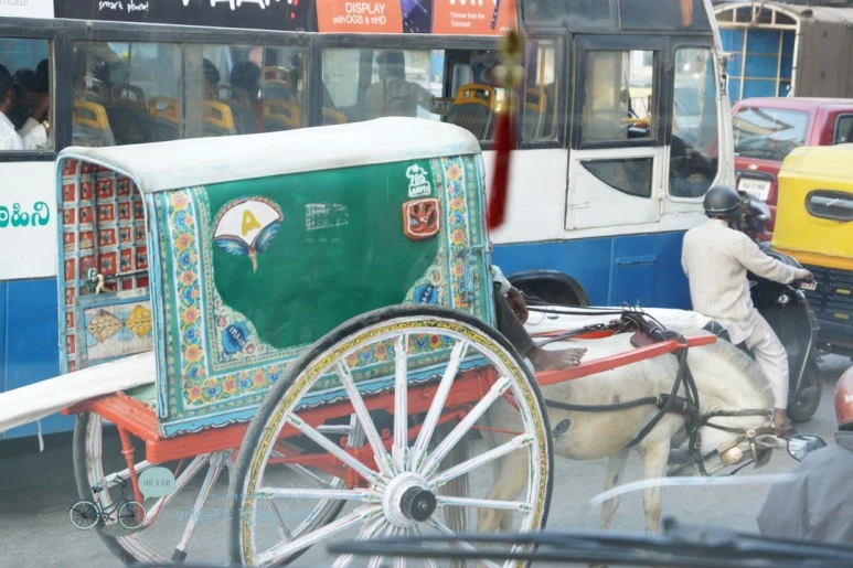 DSC00133.jpg?type=w773