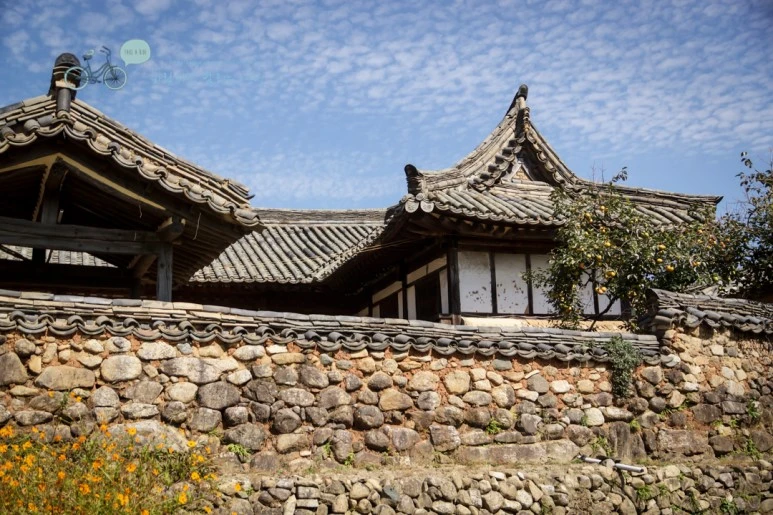 DSC04905_wide1080mark.jpg?type=w773