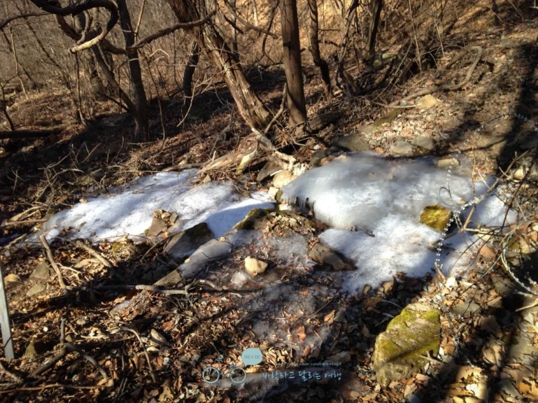 IMG_1467-_Wide1080mark.jpg?type=w773