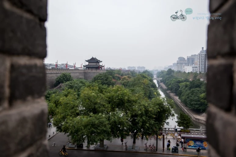 IMG_0350_Wide1080mark%EB%B0%94%EB%9E%8C.jpg?type=w773