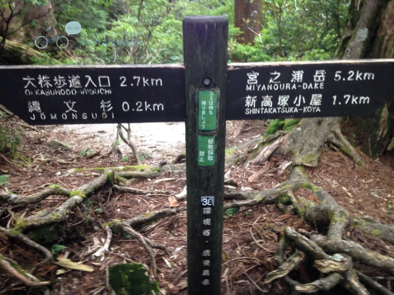 IMG_1474_wide1080.jpg?type=w773