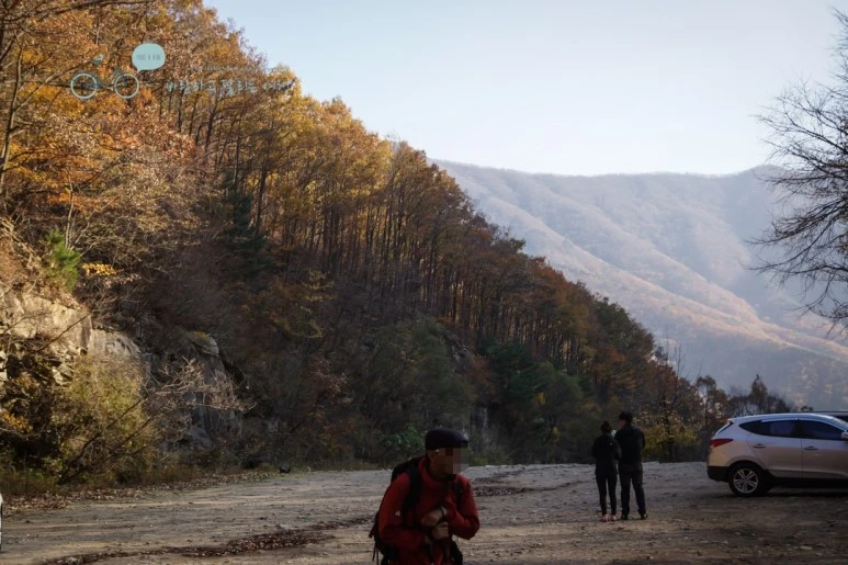 image_8366959991480210892049.jpg?type=w773