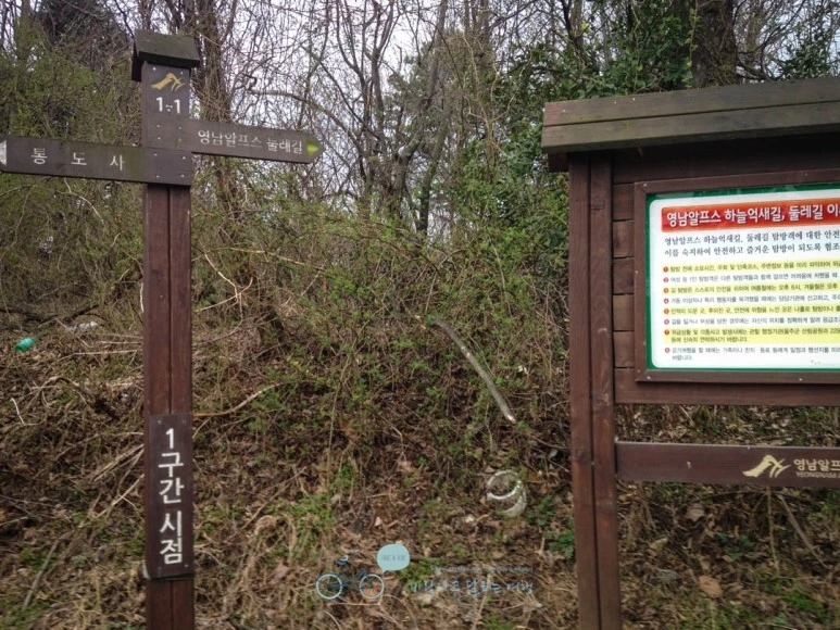 IMG_1878-_Wide1080mark.jpg?type=w773