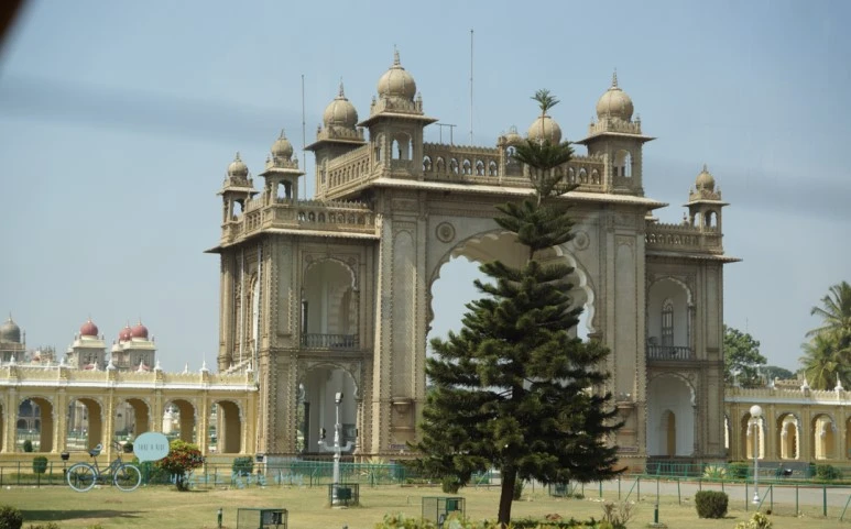 DSC00101.jpg?type=w773