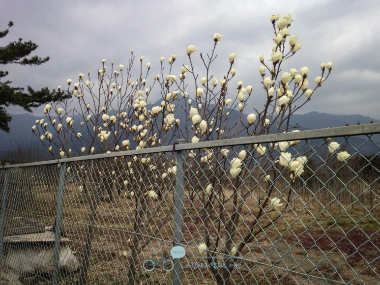 IMG_1885-_Wide1080mark.jpg?type=w773