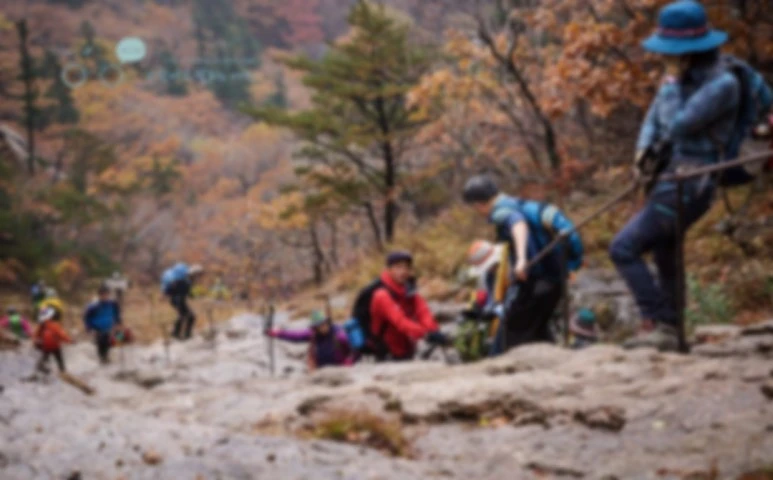 image_1747835641479892819130.jpg?type=w773