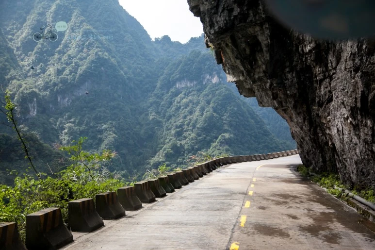 IMG_0588_Wide1080mark%EB%B0%94%EB%9E%8C.jpg?type=w773