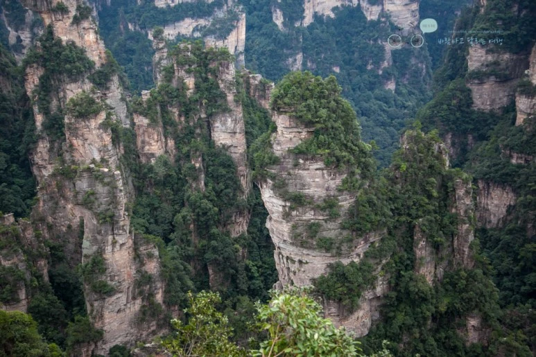 IMG_1319_Wide1080mark%EB%B0%94%EB%9E%8C.jpg?type=w773