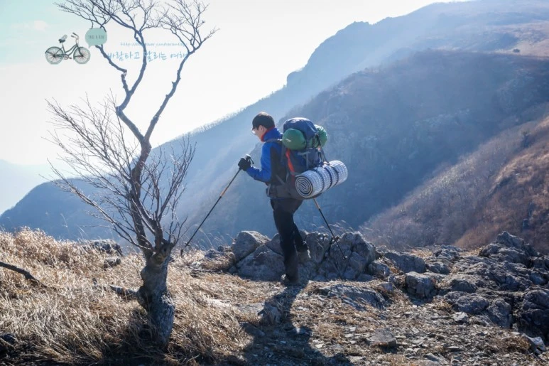 DSC04589_wide1080mark.jpg?type=w773