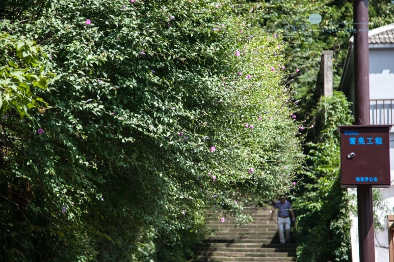 IMG_1229_Wide1080mark%EB%B0%94%EB%9E%8C.jpg?type=w773