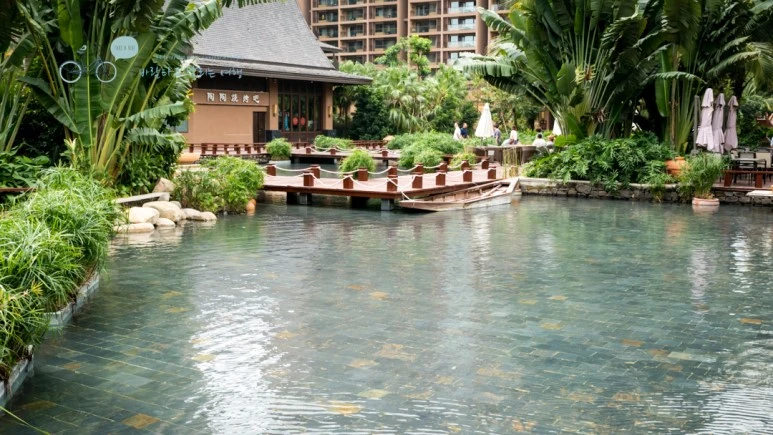 _1050251_wide1080mark.jpg?type=w773