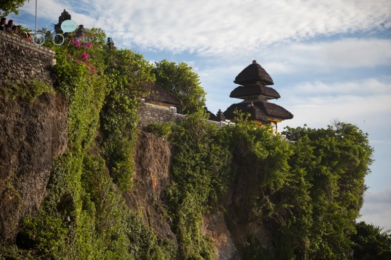 IMG_0589_Wide1080mark%EB%B0%94%EB%9E%8C%ED%83%80%EA%B3%A0-2.jpg?type=w773