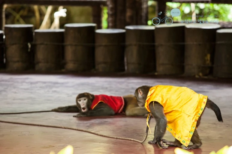 IMG_1442_wide1080%EB%B0%94%EB%9E%8Cmark.jpg?type=w773