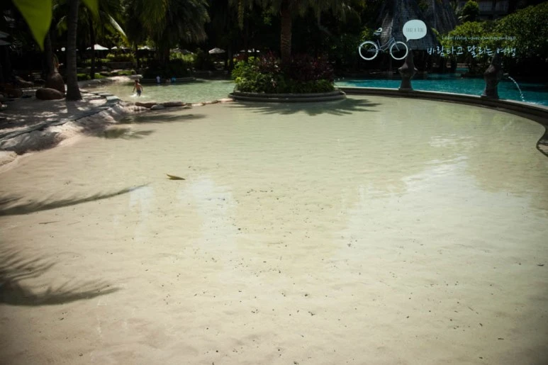 IMG_0228_wide1080%EB%B0%94%EB%9E%8Cmark.jpg?type=w773