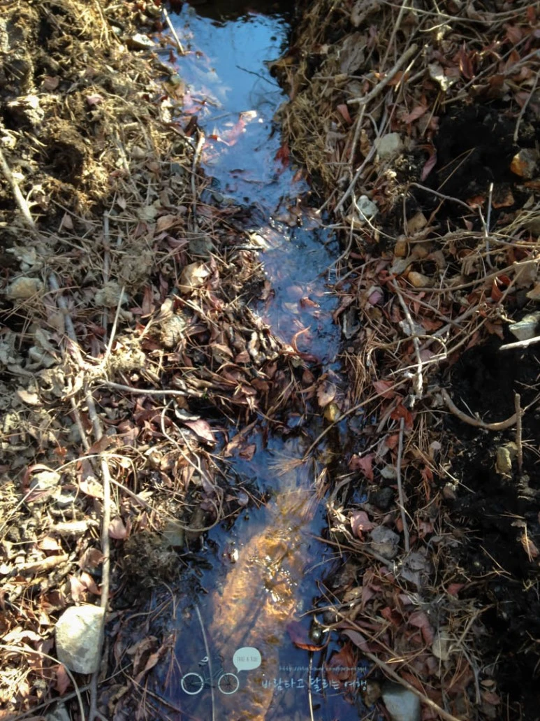 IMG_1465-_Wide1080mark.jpg?type=w773