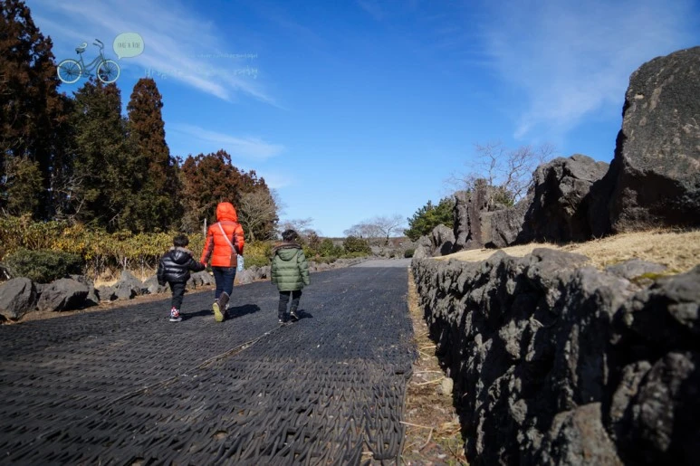 DSC00184_2.jpg?type=w773