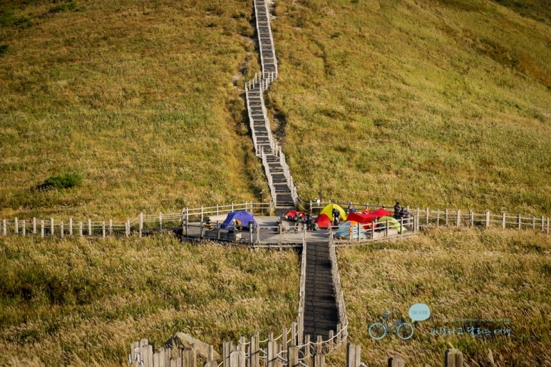 DSC04605_wide1080mark.jpg?type=w773