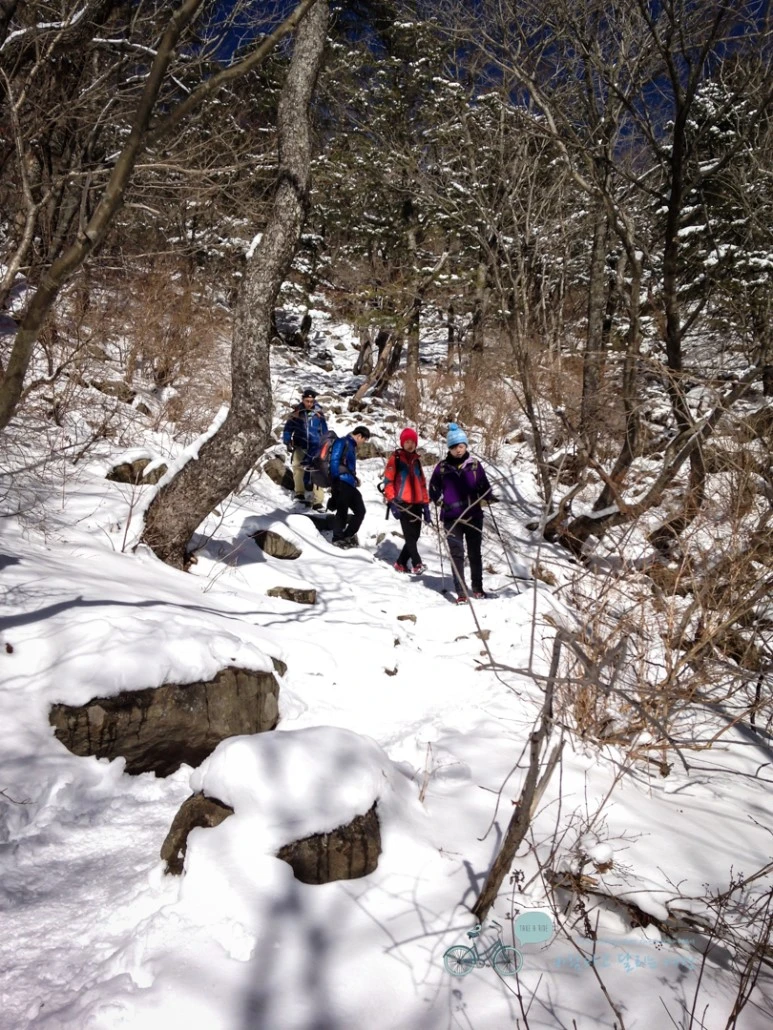 IMG_2880_Wide1080Watermark.jpg?type=w773