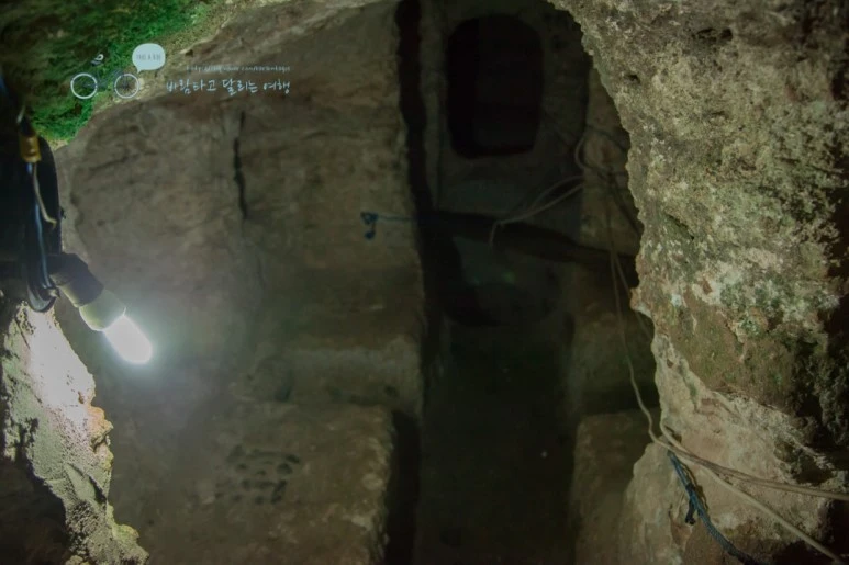 IMG_0140_Wide1080mark%EB%B0%94%EB%9E%8C%ED%83%80%EA%B3%A0.jpg?type=w773