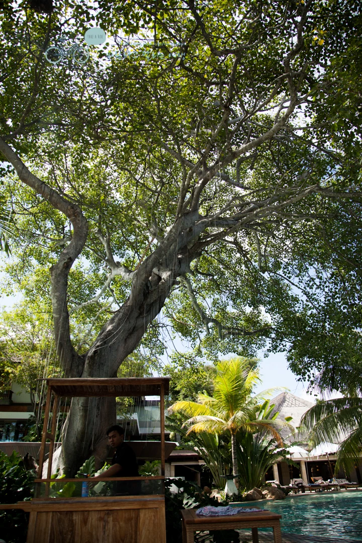 IMG_0288_Wide1080mark%EB%B0%94%EB%9E%8C%ED%83%80%EA%B3%A0.jpg?type=w773