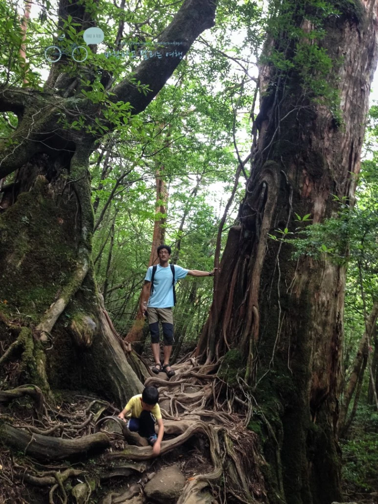 IMG_7942_wide1080mark.jpg?type=w773