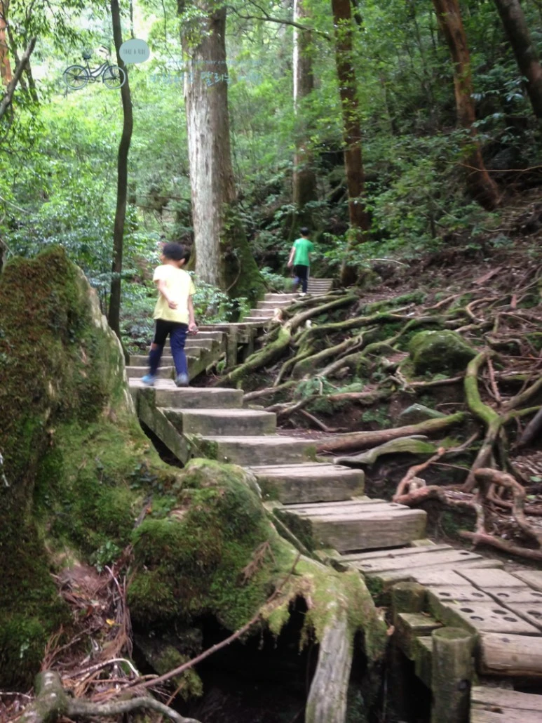 IMG_1341_wide1080.jpg?type=w773