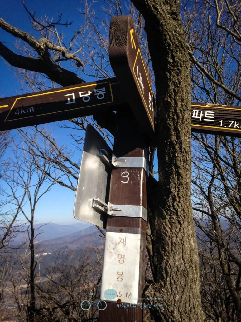 IMG_1406-_Wide1080mark%EB%B0%94%EB%9E%8C.jpg?type=w773