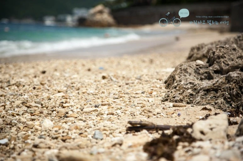 IMG_0257_wide1080%EB%B0%94%EB%9E%8Cmark.jpg?type=w773