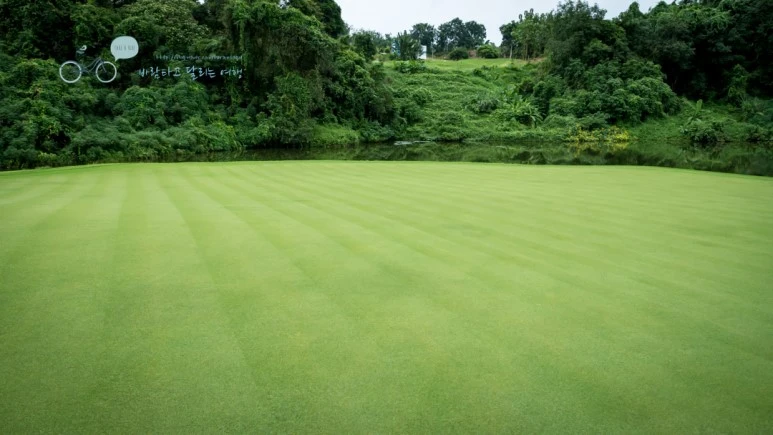 _1010097_wide1080_Wide1080mark_%EB%B0%94%EB%9E%8C.jpg?type=w773