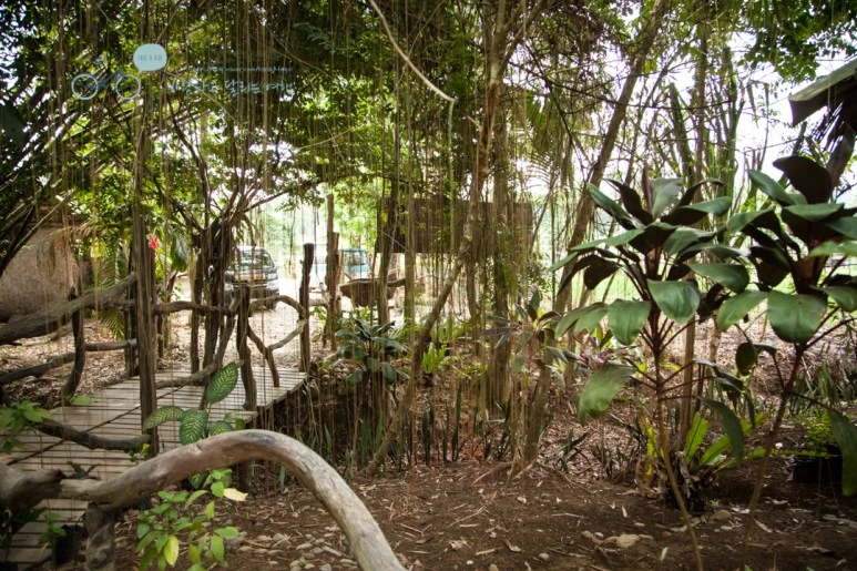 IMG_0582_Wide1080mark%EB%B0%94%EB%9E%8C%ED%83%80%EA%B3%A0.jpg?type=w773