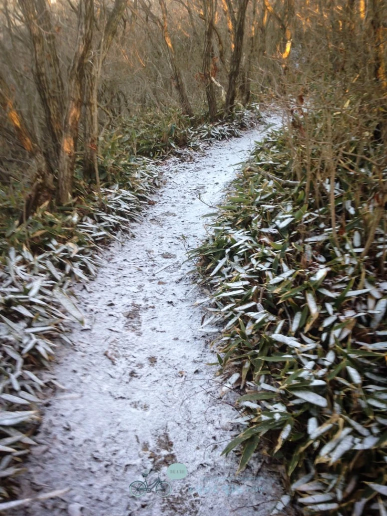 IMG_1383-_Wide1080mark%EB%B0%94%EB%9E%8C.jpg?type=w773