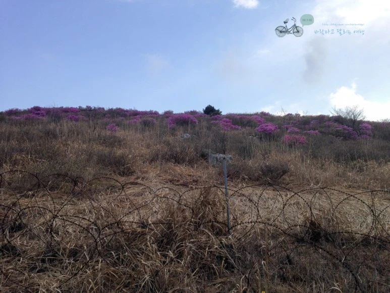 IMG_2084_Wide1080mark%EB%B0%94%EB%9E%8C.jpg?type=w773