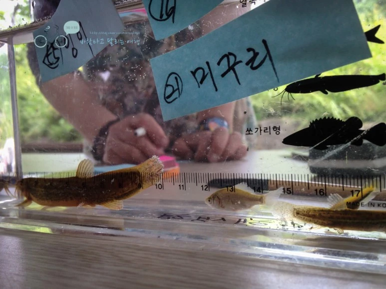 IMG_1031_wide1080mark.jpg?type=w773