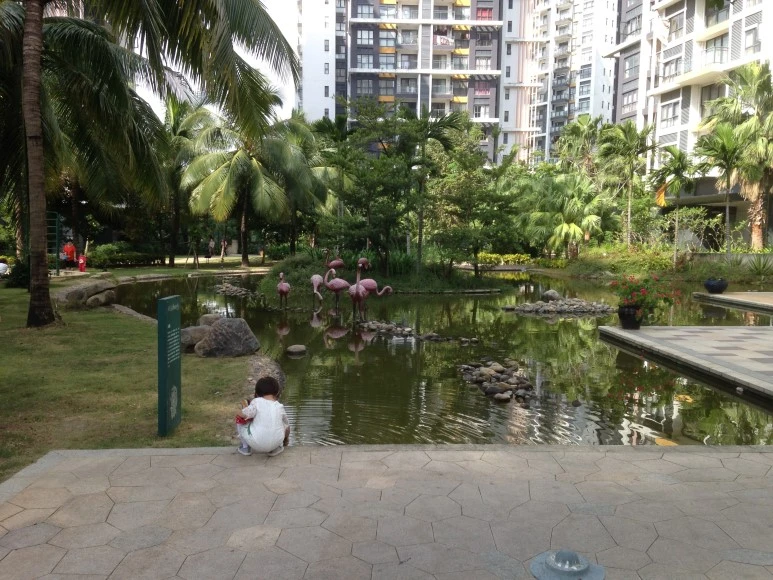 IMG_2679.JPG?type=w773