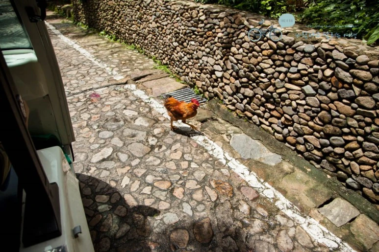 IMG_0188_wide1080%EB%B0%94%EB%9E%8Cmark.jpg?type=w773