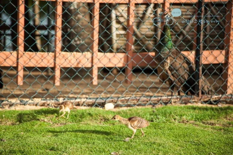 IMG_1797_wide1080%EB%B0%94%EB%9E%8Cmark.jpg?type=w773