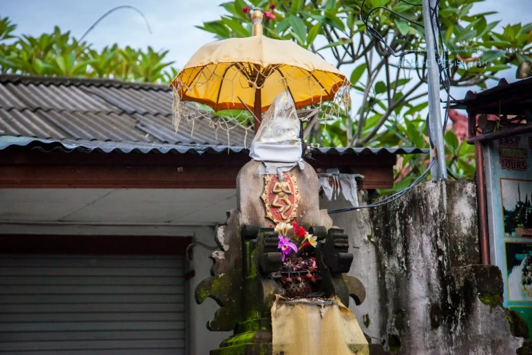 5D_IMG_1668_Short1200mark%EB%B0%94%EB%9E%8C.jpg?type=w773