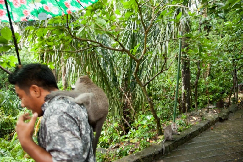 IMG_0154_Wide1080mark%EB%B0%94%EB%9E%8C%ED%83%80%EA%B3%A0-3.jpg?type=w773