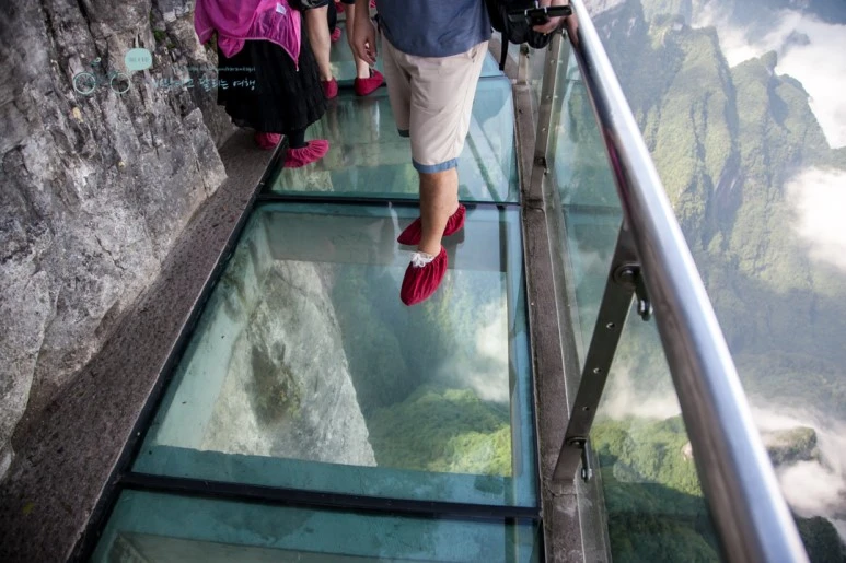 IMG_0136_Wide1080mark%EB%B0%94%EB%9E%8C.jpg?type=w773