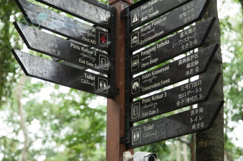 IMG_0127_Wide1080mark%EB%B0%94%EB%9E%8C%ED%83%80%EA%B3%A0-3.jpg?type=w773