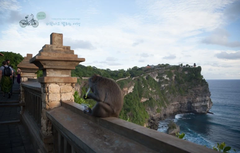 IMG_0612_Wide1080mark%EB%B0%94%EB%9E%8C%ED%83%80%EA%B3%A0.jpg?type=w773