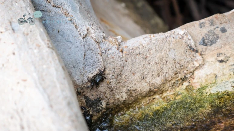 _1010692_Wide1080mark%EB%B0%94%EB%9E%8C%ED%83%80%EA%B3%A0.jpg?type=w773