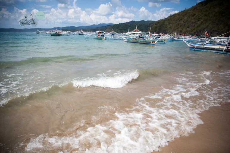 IMG_2183_Wide1080mark%EB%B0%94%EB%9E%8C%ED%83%80%EA%B3%A0.jpg?type=w773