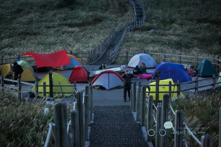 DSC04424_wide1080mark.jpg?type=w773