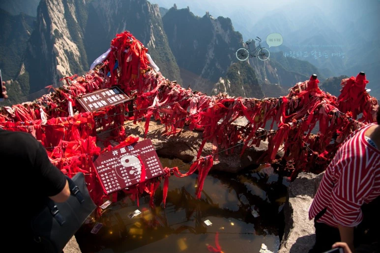 IMG_0209_Wide1080_mark%EB%B0%94%EB%9E%8C.jpg?type=w773