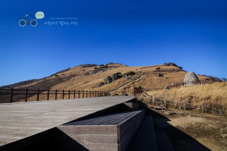 DSC04513_wide1080mark.jpg?type=w773