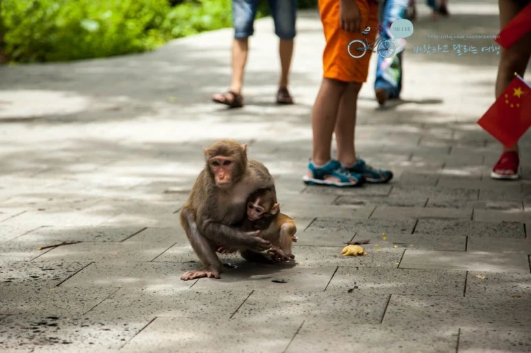 IMG_1269_wide1080%EB%B0%94%EB%9E%8Cmark.jpg?type=w773