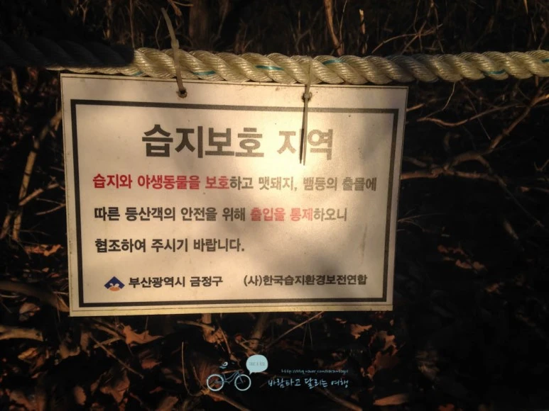 IMG_1392-_Wide1080mark%EB%B0%94%EB%9E%8C.jpg?type=w773