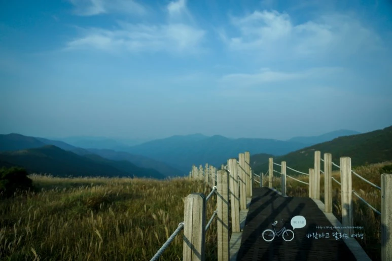 DSC04540_wide1080mark.jpg?type=w773